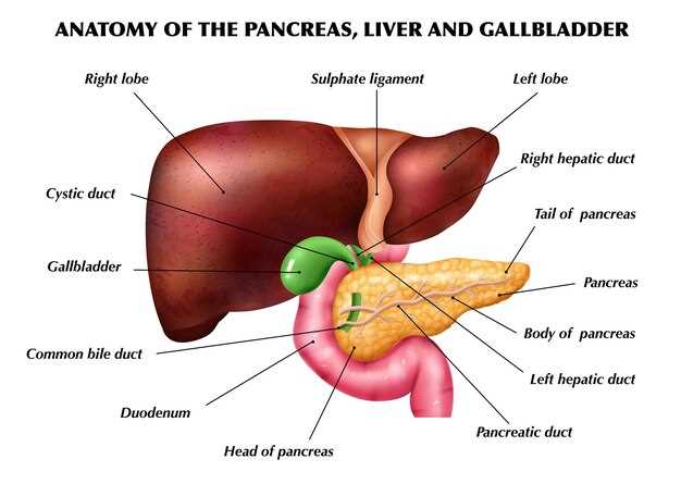Protecting the Pancreas while on Lisinopril