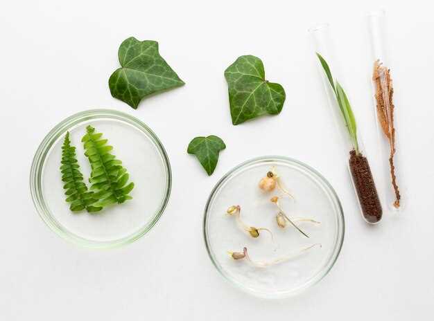 Are ramipril and lisinopril the same